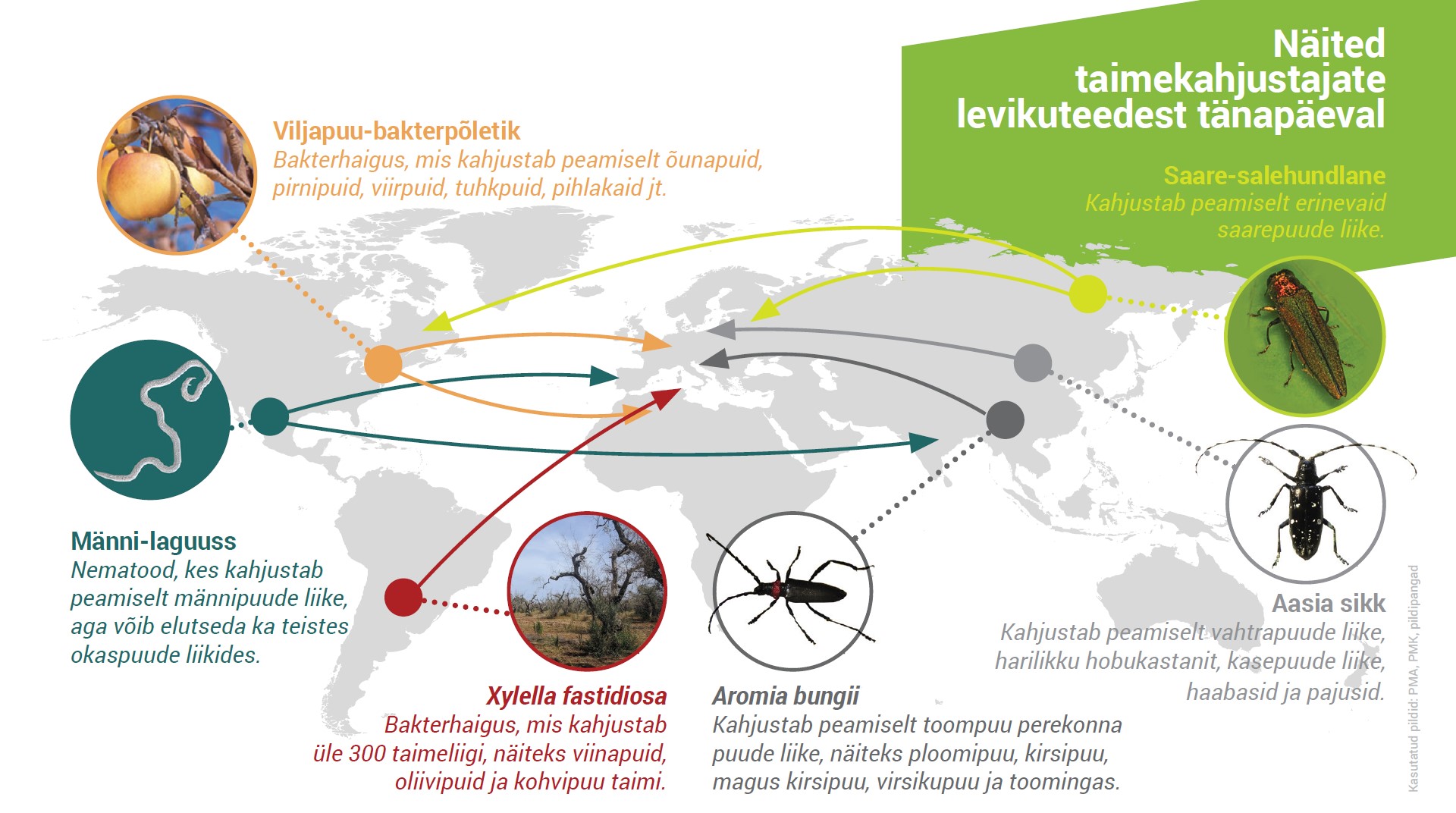 Joonis karantiinsete taimekahjustajate levikuteedest üle maailma