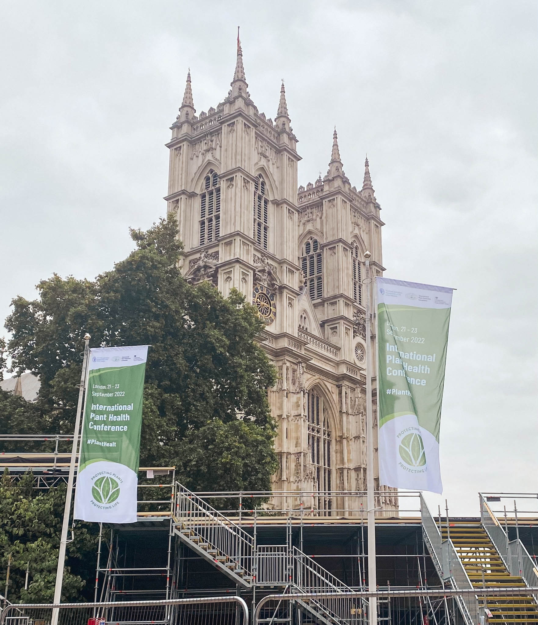 Vaade Westminster Abbey'le Londonis