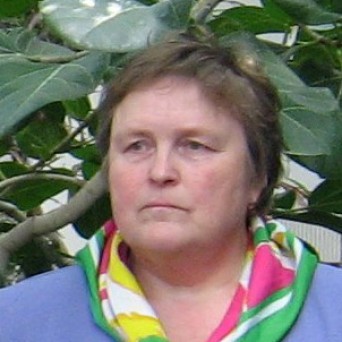 Malle Ojokas